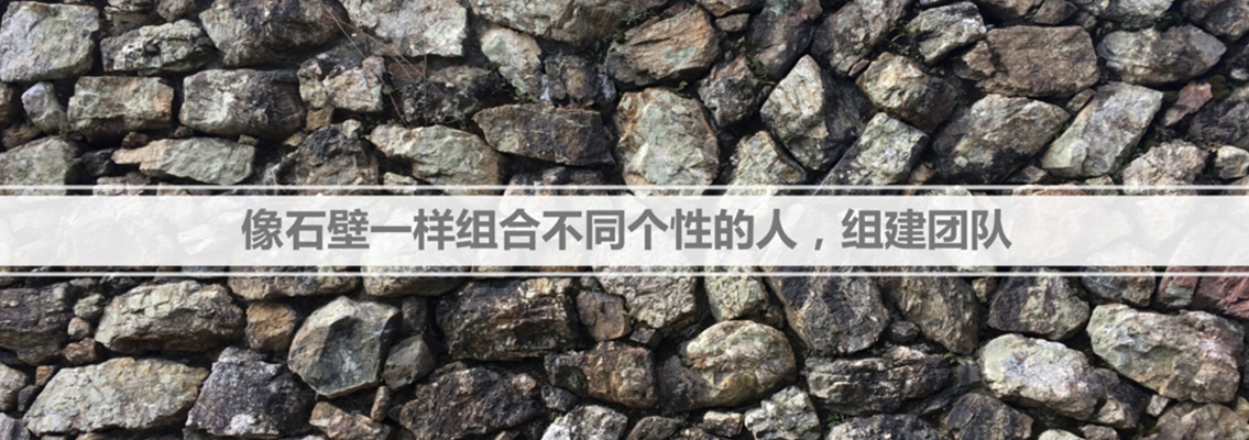 才望子